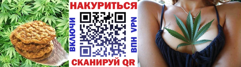 купить наркотики сайты  Озёры  Печенье с ТГК марихуана 